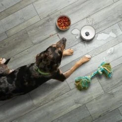 SMARTCORE Pro 7-Piece 7.08-in X 48.03-in Covington Oak Luxury Vinyl Plank Flooring 4 SMARTCORE Pro 7-Piece 7.08-in X 48.03-in Covington Oak Luxury Vinyl Plank Flooring -Smartcore 190402110251 12036054 1800x1800