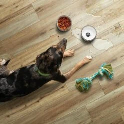 SMARTCORE Pro 7-Piece 7.08-in X 48.03-in Burbank Oak Luxury Vinyl Plank Flooring -Smartcore 190402110275 09506001 1800x1800