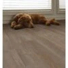 SMARTCORE 11-Piece 5-in X 48.03-in Madison Walnut Luxury Vinyl Plank Flooring -Smartcore 836212862651 11469864 16ce1c34 fb2e 4595 afcb d377aad24bdc 1800x1800