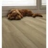 SMARTCORE 11-Piece 5-in X 48.03-in Barren Oak Luxury Vinyl Plank Flooring -Smartcore 836215855780 11404183 85079ec6 80a5 492d 9a1e 1372734b88cb 1800x1800